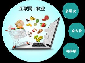 農產品觸網 互聯網時代，誰是下一個超級代言人？