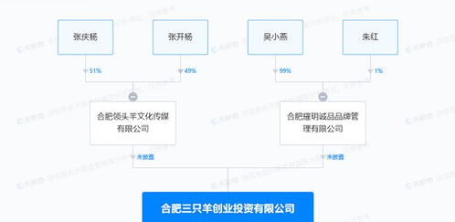 瘋狂小楊哥旗下三只羊創業投資公司增資，深耕食品互聯網銷售領域